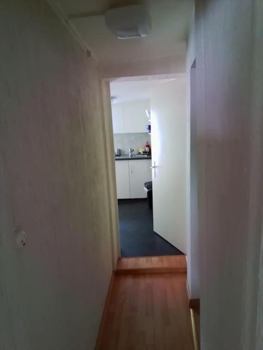 Tiny Flat Apartment St. Gallen Bagian luar foto
